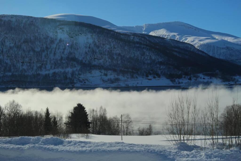 New Magnificent View Apartment Near The Centre Tromsø Eksteriør billede